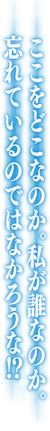 ここをどこなのか。私が誰なのか。忘れているのではなかろうな！？