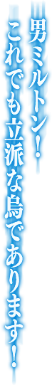 男ミルトン！これでも立派な烏であります！